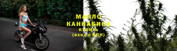 молекула духа Снежногорск