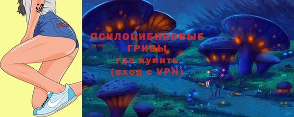кокаин премиум Белокуриха