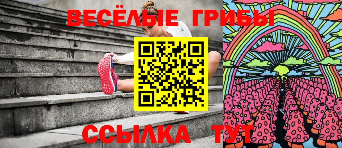 Псилоцибиновые грибы прущие грибы Белебей