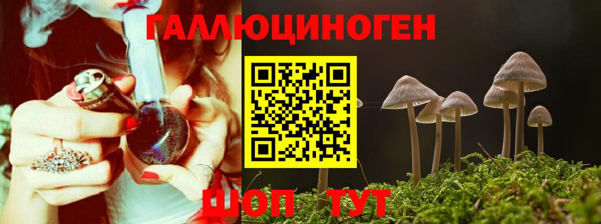 Псилоцибиновые грибы Psilocybine cubensis  Вход с VPN  Галлюциногенные грибы Cubensis  Белебей 